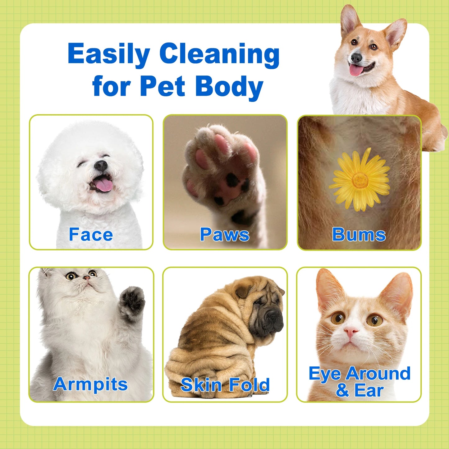 100Ct Doctor Easy All Purpose Pet Grooming Wipes Safety Plant Based Ingredients for Dogs & Cats Paws Body Nose Bum Cleaning